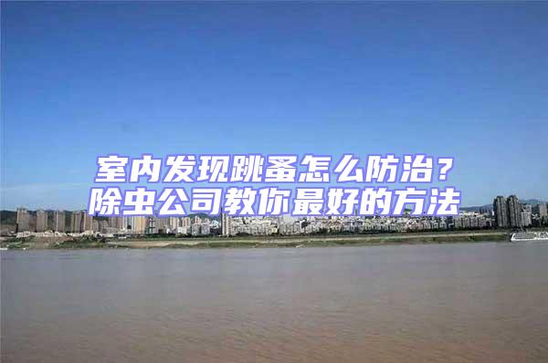 室內(nèi)發(fā)現(xiàn)跳蚤怎么防治？除蟲公司教你最好的方法