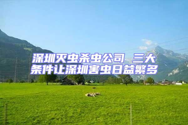 深圳滅蟲殺蟲公司 三大條件讓深圳害蟲日益繁多