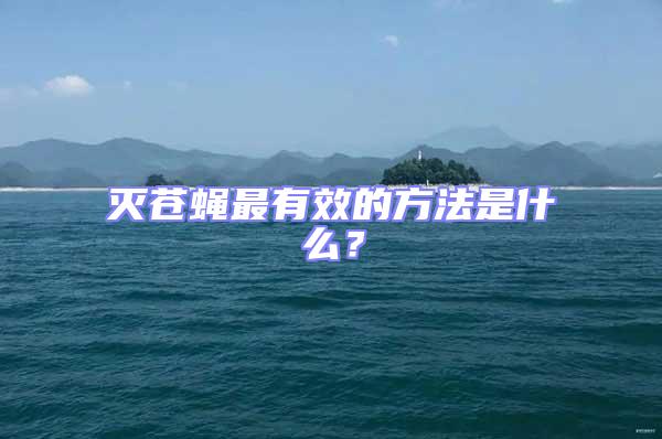 滅蒼蠅最有效的方法是什么？