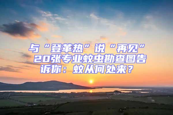 與“登革熱”說“再見” 20張專業(yè)蚊蟲勘查圖告訴你：蚊從何處來？