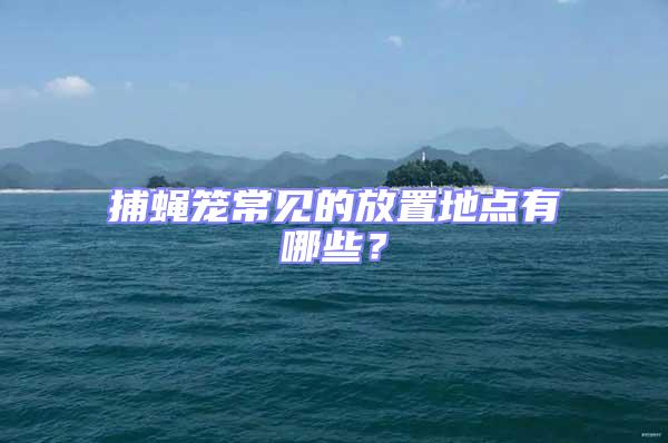 捕蠅籠常見的放置地點有哪些？