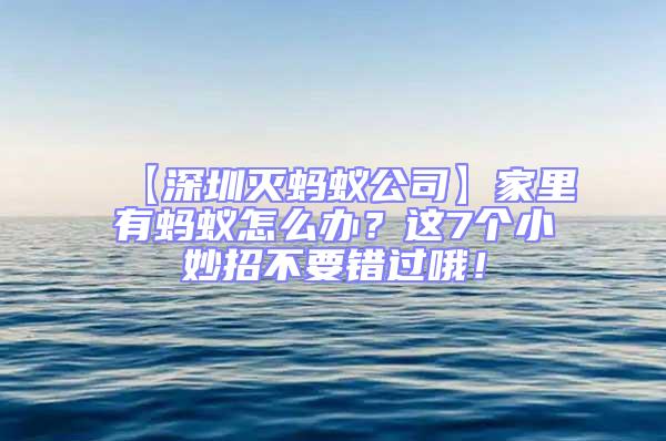 【深圳滅螞蟻公司】家里有螞蟻怎么辦？這7個小妙招不要錯過哦！
