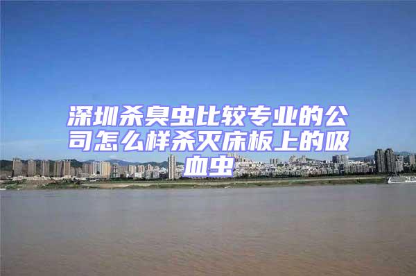 深圳殺臭蟲(chóng)比較專業(yè)的公司怎么樣殺滅床板上的吸血蟲(chóng)