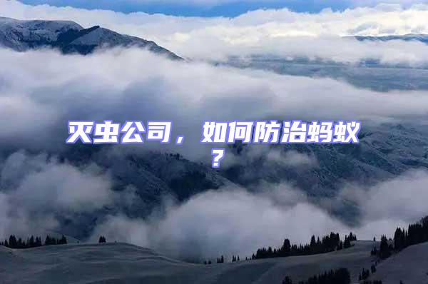 滅蟲公司，如何防治螞蟻？