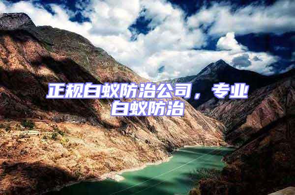 正規(guī)白蟻防治公司，專業(yè)白蟻防治