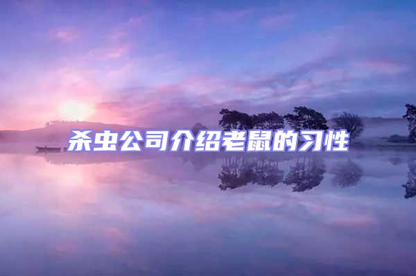 殺蟲(chóng)公司介紹老鼠的習(xí)性