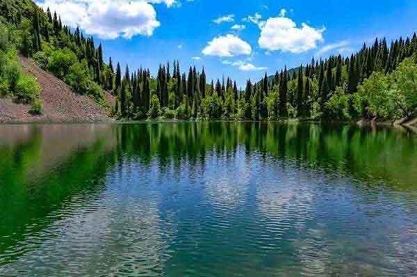 深圳滅蟑公司專業(yè)指導(dǎo)家庭滅蟑、滅蟻