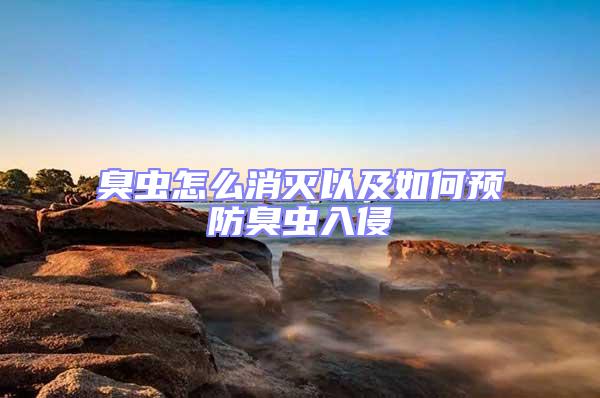 臭蟲怎么消滅以及如何預防臭蟲入侵