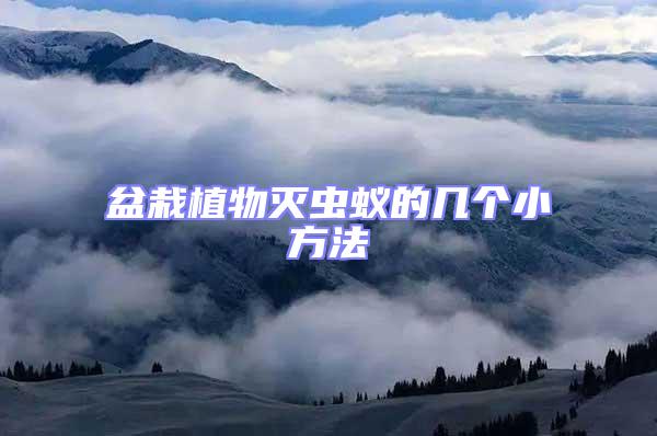盆栽植物滅蟲蟻的幾個小方法