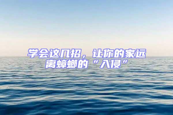 學會這幾招，讓你的家遠離蟑螂的“入侵”