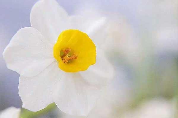 【除臭蟲(chóng)公司】為什么臭蟲(chóng)能耐得住“饑寒交迫”？