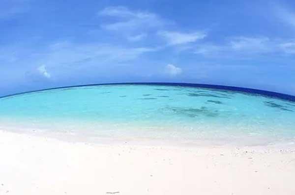 選擇滅蚊子產(chǎn)品的注意事項有哪些