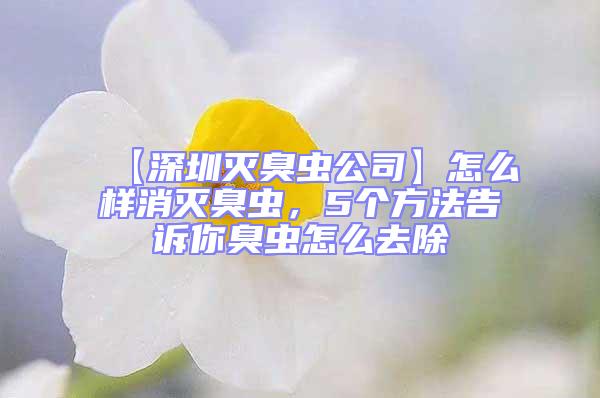 【深圳滅臭蟲公司】怎么樣消滅臭蟲，5個方法告訴你臭蟲怎么去除
