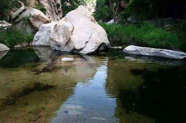 深圳消殺哪里有殺白蟻，居民如何預防白蟻