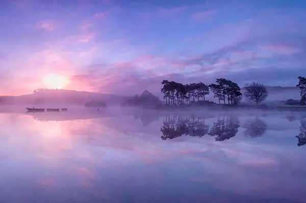 殺蟲(chóng)公司專(zhuān)業(yè)團(tuán)隊(duì)才有好的效果