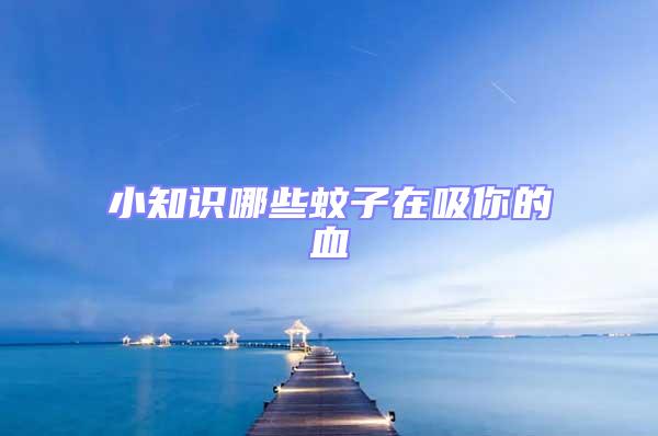 小知識(shí)哪些蚊子在吸你的血