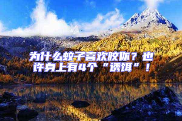 為什么蚊子喜歡咬你？也許身上有4個“誘餌”！