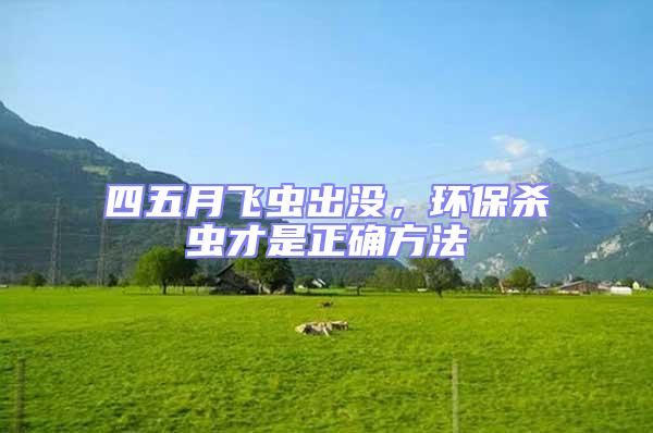 四五月飛蟲出沒，環保殺蟲才是正確方法