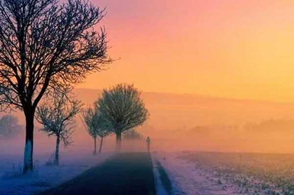 深圳白蟻防治：白蟻比較喜歡食松木、夾板等較為松軟材質(zhì)的家具