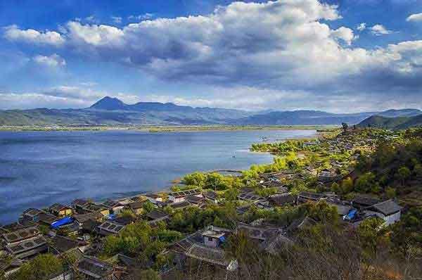 蟑螂喜歡什么環境