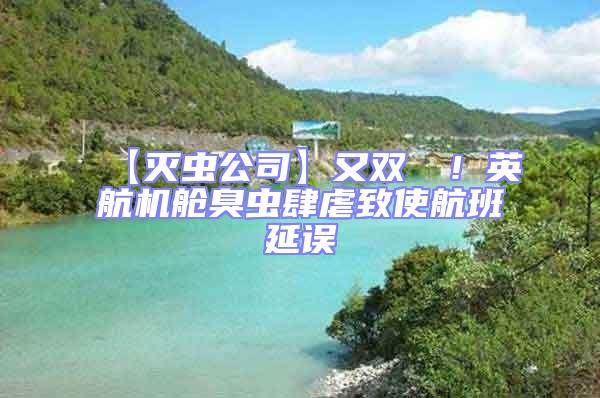 【滅蟲公司】又雙叒叕！英航機艙臭蟲肆虐致使航班延誤