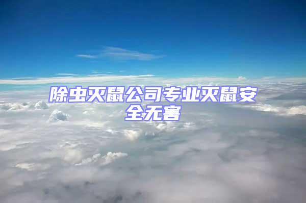 除蟲滅鼠公司專業(yè)滅鼠安全無害