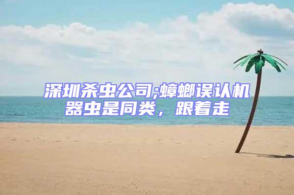 深圳殺蟲公司;蟑螂誤認機器蟲是同類，跟著走