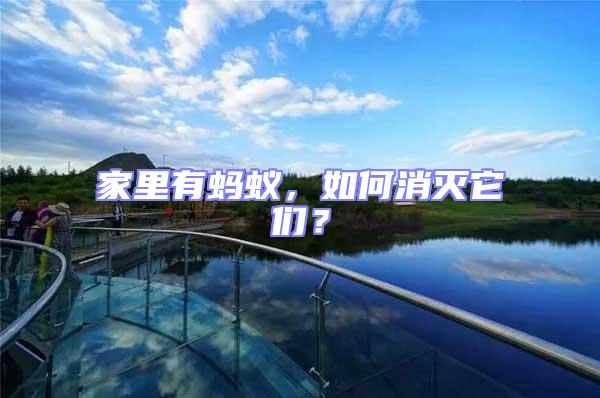 家里有螞蟻，如何消滅它們？