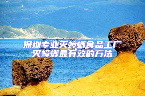 深圳專業滅蟑螂食品工廠滅蟑螂最有效的方法