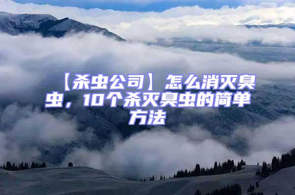 【殺蟲公司】怎么消滅臭蟲，10個殺滅臭蟲的簡單方法