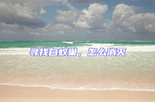 尋找白蟻巢，怎么消滅