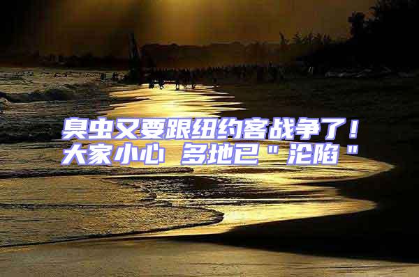 臭蟲又要跟紐約客戰(zhàn)爭了！大家小心 多地已＂淪陷＂