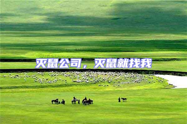 滅鼠公司，滅鼠就找我