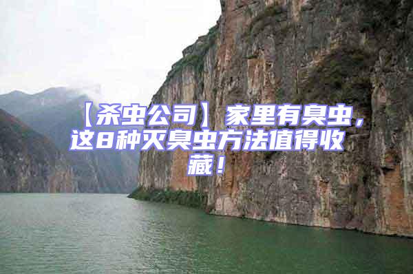 【殺蟲公司】家里有臭蟲，這8種滅臭蟲方法值得收藏！