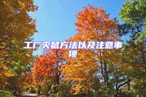 工廠滅鼠方法以及注意事項