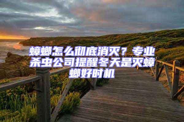 蟑螂怎么徹底消滅？專業(yè)殺蟲公司提醒冬天是滅蟑螂好時(shí)機(jī)