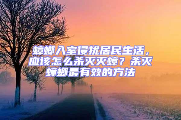 蟑螂入室侵?jǐn)_居民生活，應(yīng)該怎么殺滅滅蟑？殺滅蟑螂最有效的方法