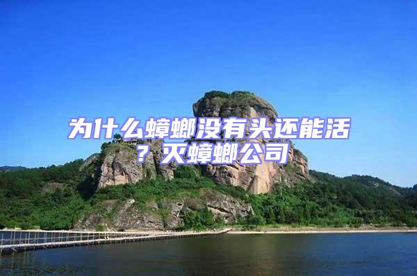 為什么蟑螂沒(méi)有頭還能活？滅蟑螂公司