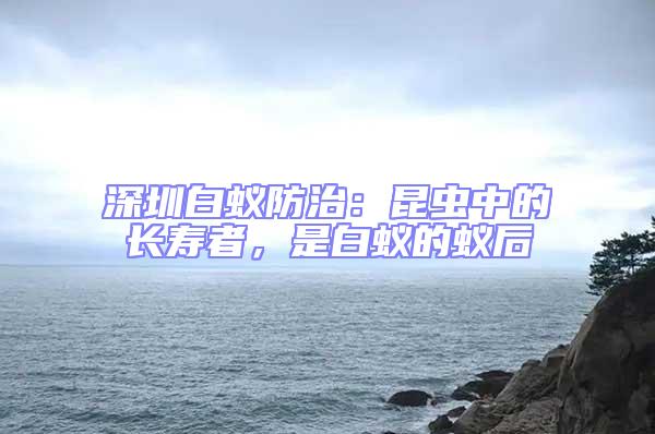 深圳白蟻防治：昆蟲中的長壽者，是白蟻的蟻后