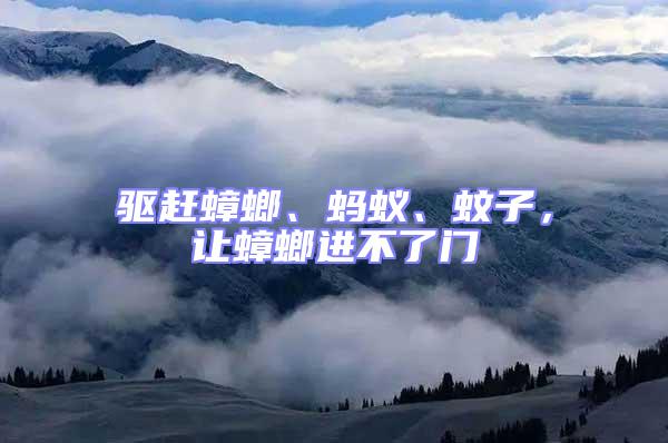 驅趕蟑螂、螞蟻、蚊子，讓蟑螂進不了門