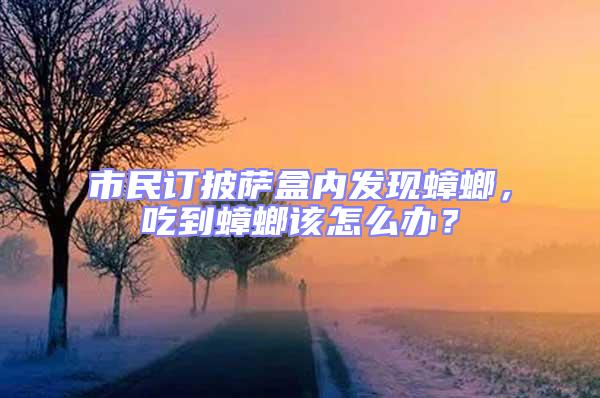 市民訂披薩盒內發現蟑螂，吃到蟑螂該怎么辦？