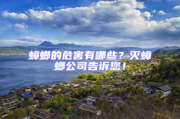 蟑螂的危害有哪些？滅蟑螂公司告訴您！