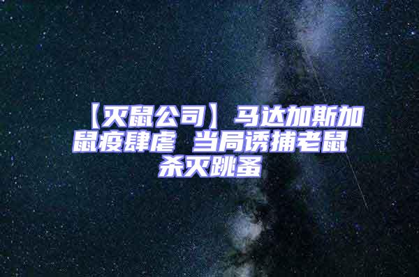 【滅鼠公司】馬達(dá)加斯加鼠疫肆虐 當(dāng)局誘捕老鼠殺滅跳蚤