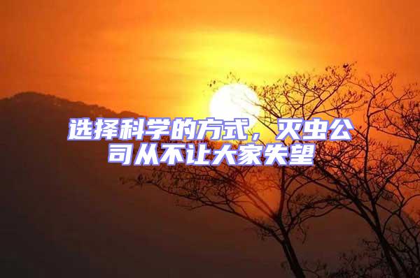 選擇科學(xué)的方式，滅蟲(chóng)公司從不讓大家失望