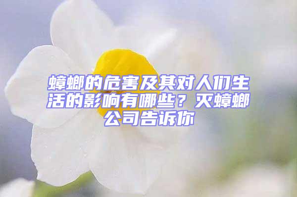 蟑螂的危害及其對人們生活的影響有哪些？滅蟑螂公司告訴你