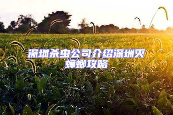 深圳殺蟲(chóng)公司介紹深圳滅蟑螂攻略
