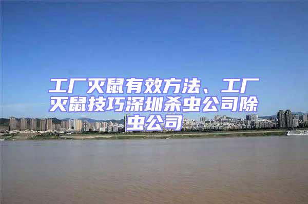 工廠滅鼠有效方法、工廠滅鼠技巧深圳殺蟲(chóng)公司除蟲(chóng)公司