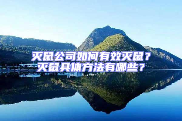 滅鼠公司如何有效滅鼠？滅鼠具體方法有哪些？