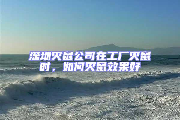 深圳滅鼠公司在工廠滅鼠時(shí)，如何滅鼠效果好
