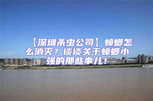 【深圳殺蟲公司】蟑螂怎么消滅？談談關于蟑螂小強的那些事兒！